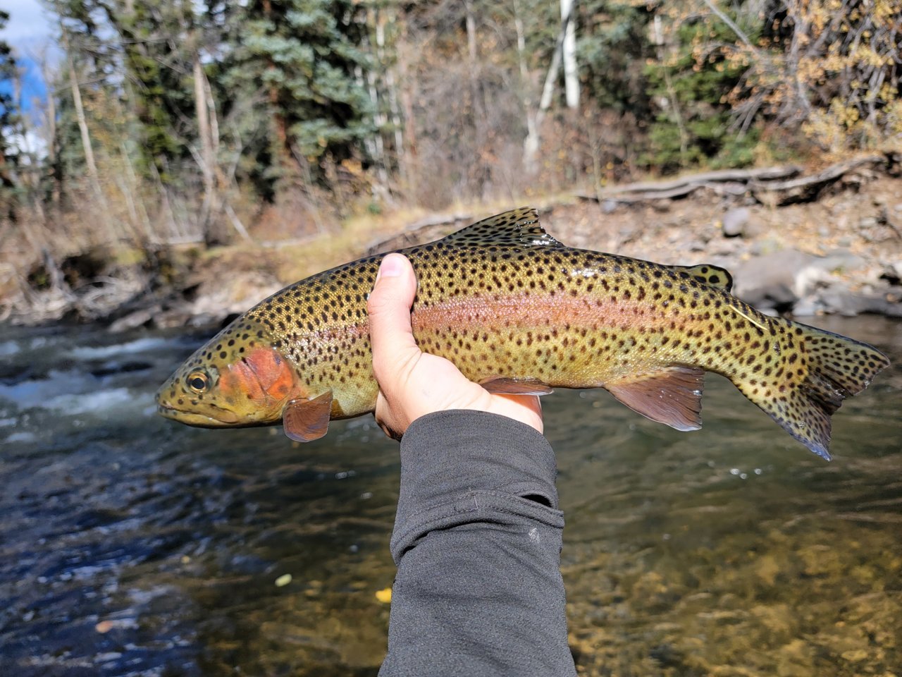 20211018_141649[1].jpg