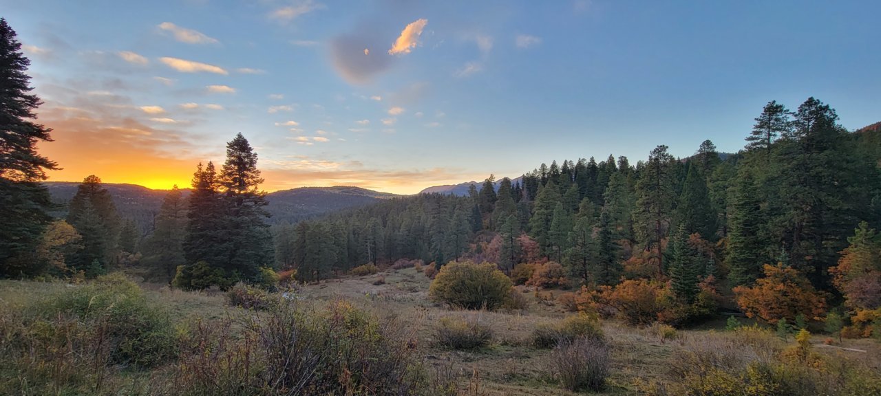 20211018_182225[1].jpg