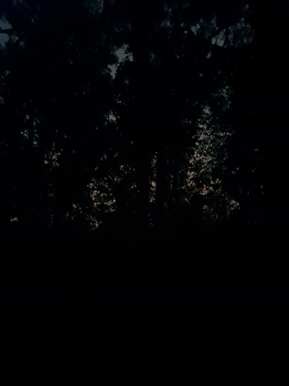 20211019_063609.jpg