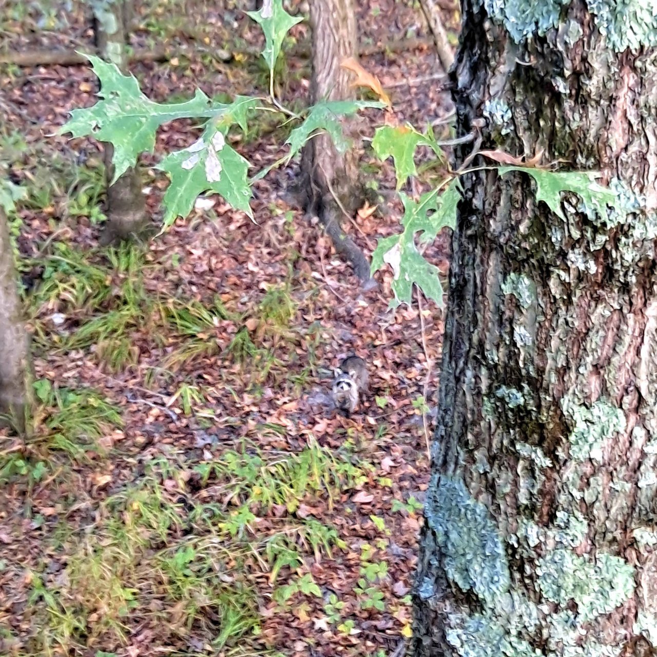20211021_073308.jpg