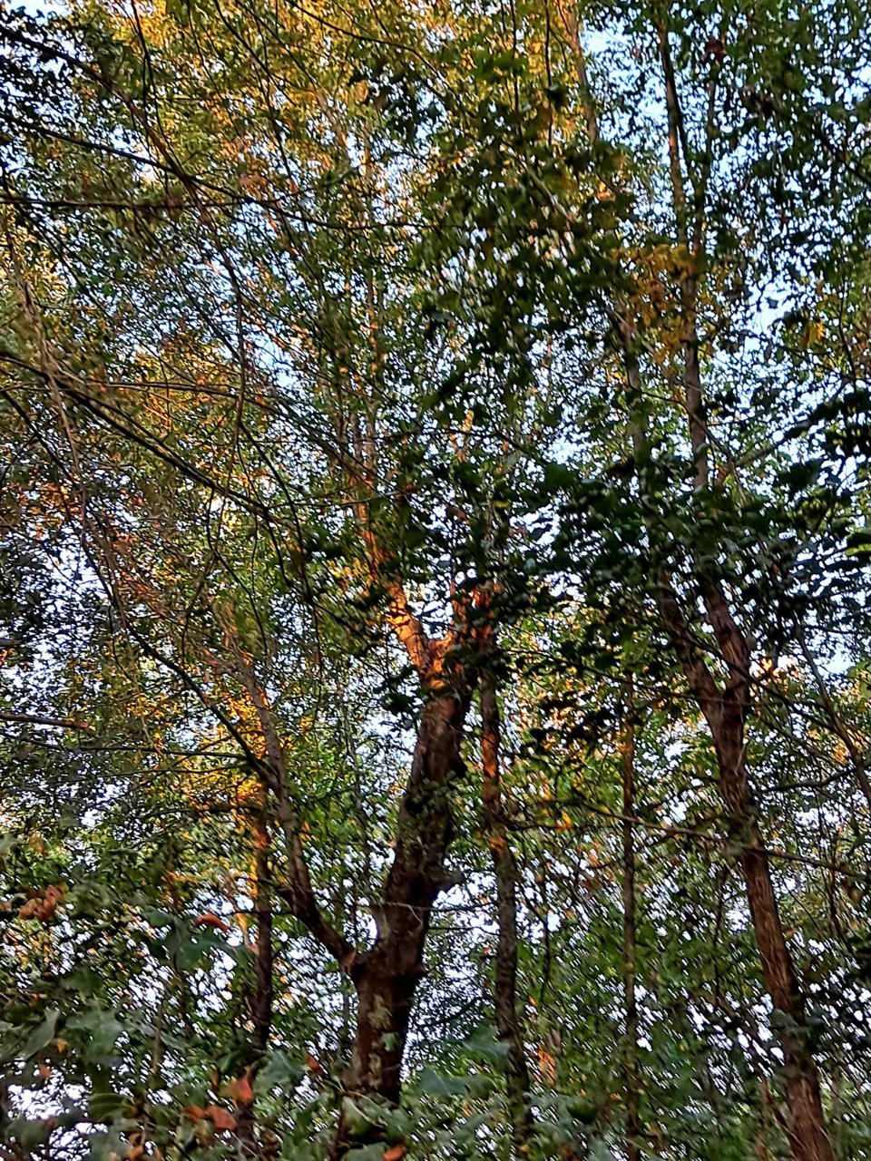 20211021_073531.jpg