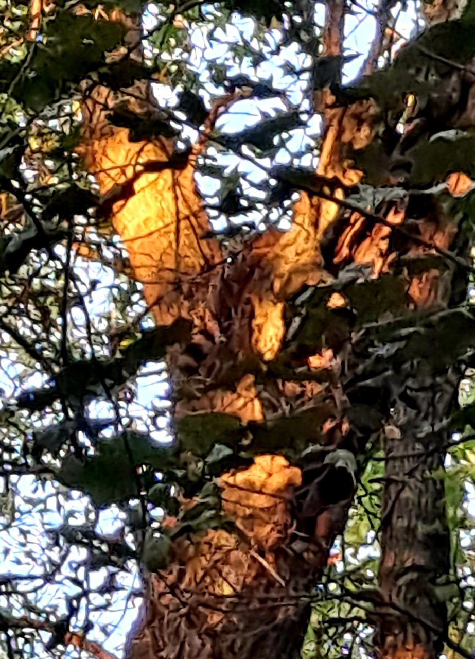 20211021_073832.jpg