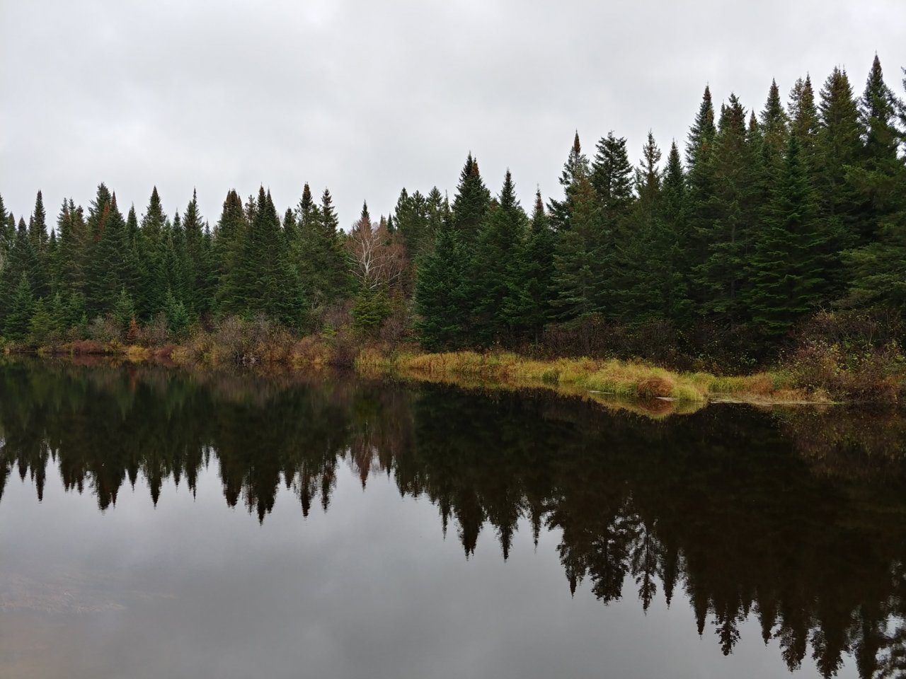 20211022_101759_HDR.jpg