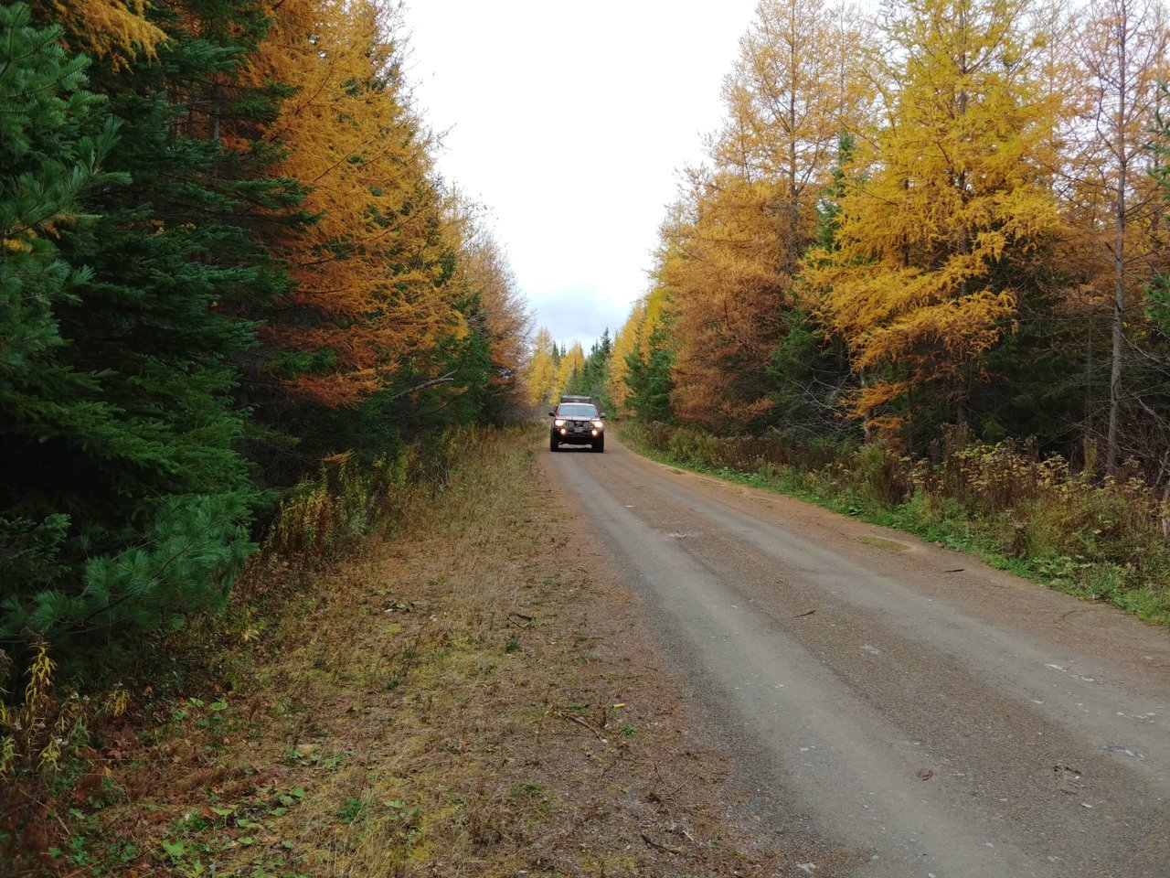 20211023_103039_HDR.jpg