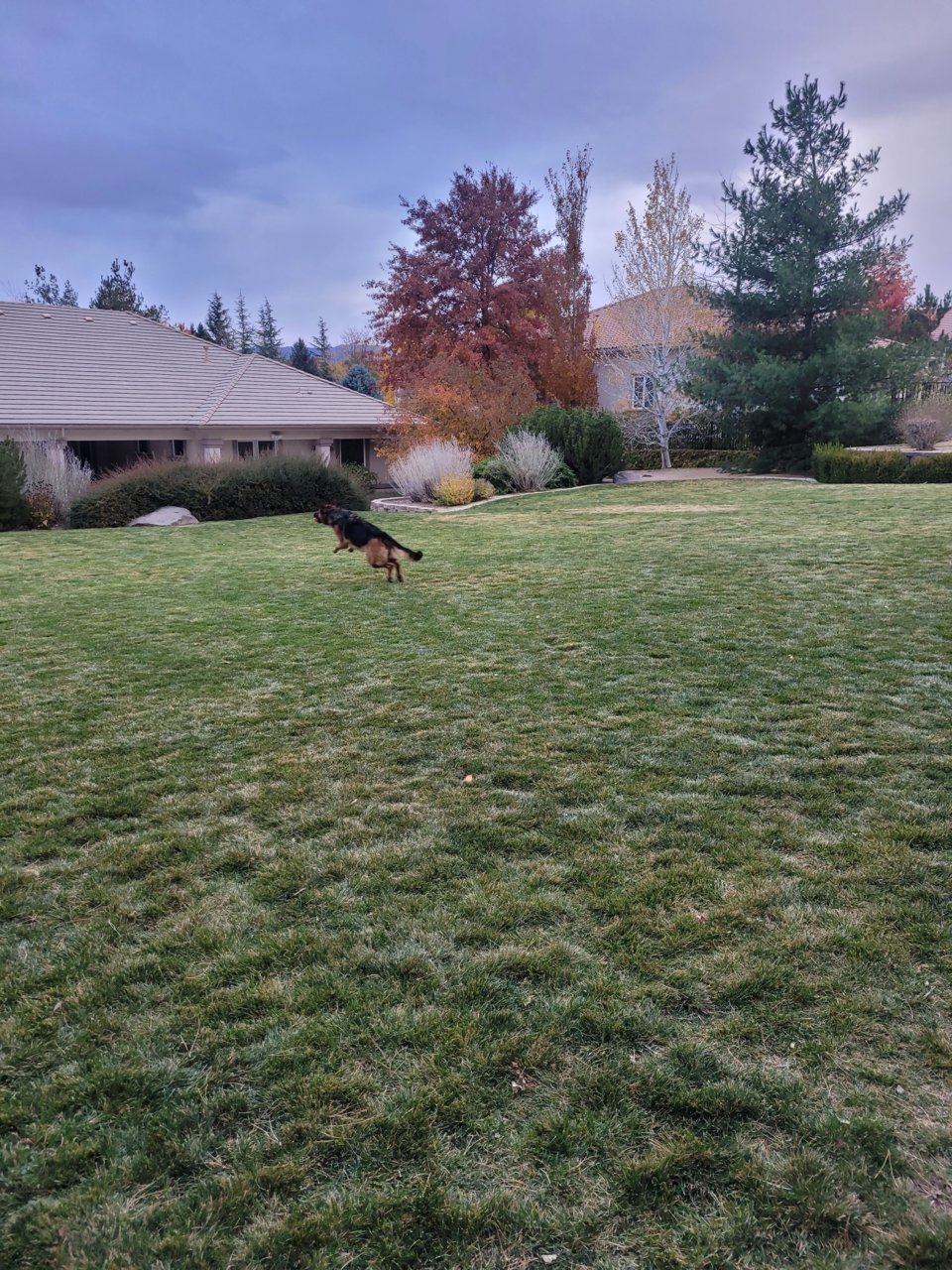 20211023_172845.jpg