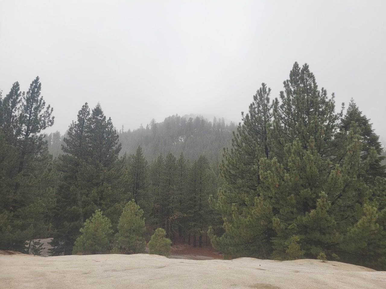 20211024_123653.jpg