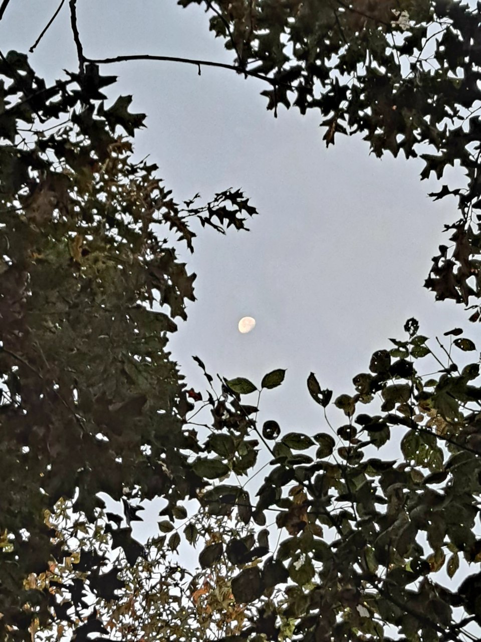 20211025_074006.jpg