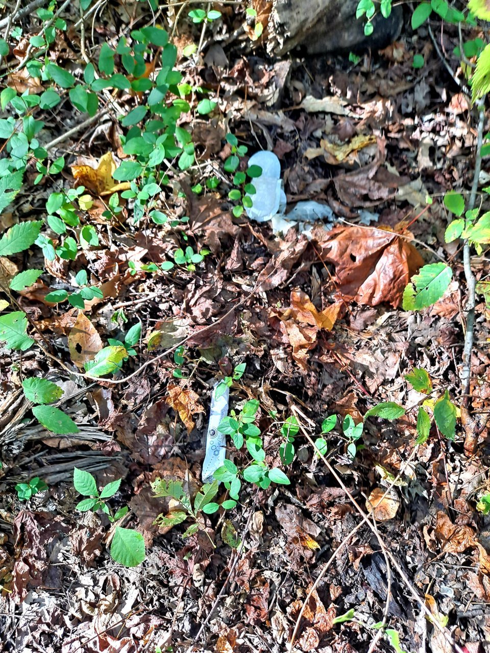 20211026_143942.jpg