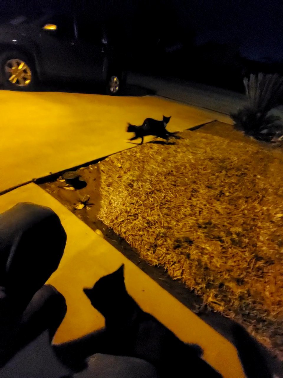 20211026_190210_capture.jpg