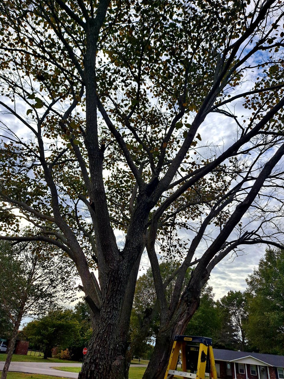 20211027_154401.jpg