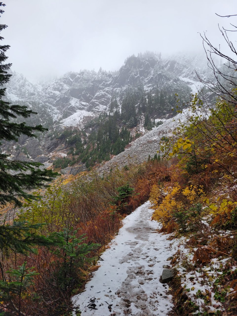 20211027_165513.jpg