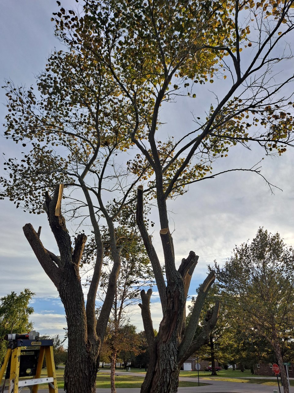 20211027_171207.jpg