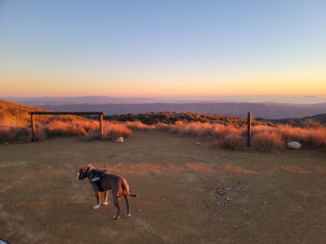 20211027_180406.jpg
