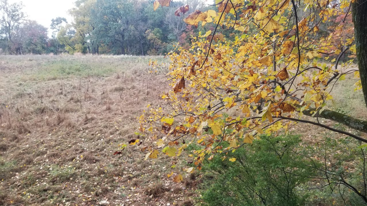 20211030_155009.jpg