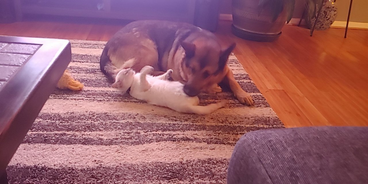 20211030_180851.jpg