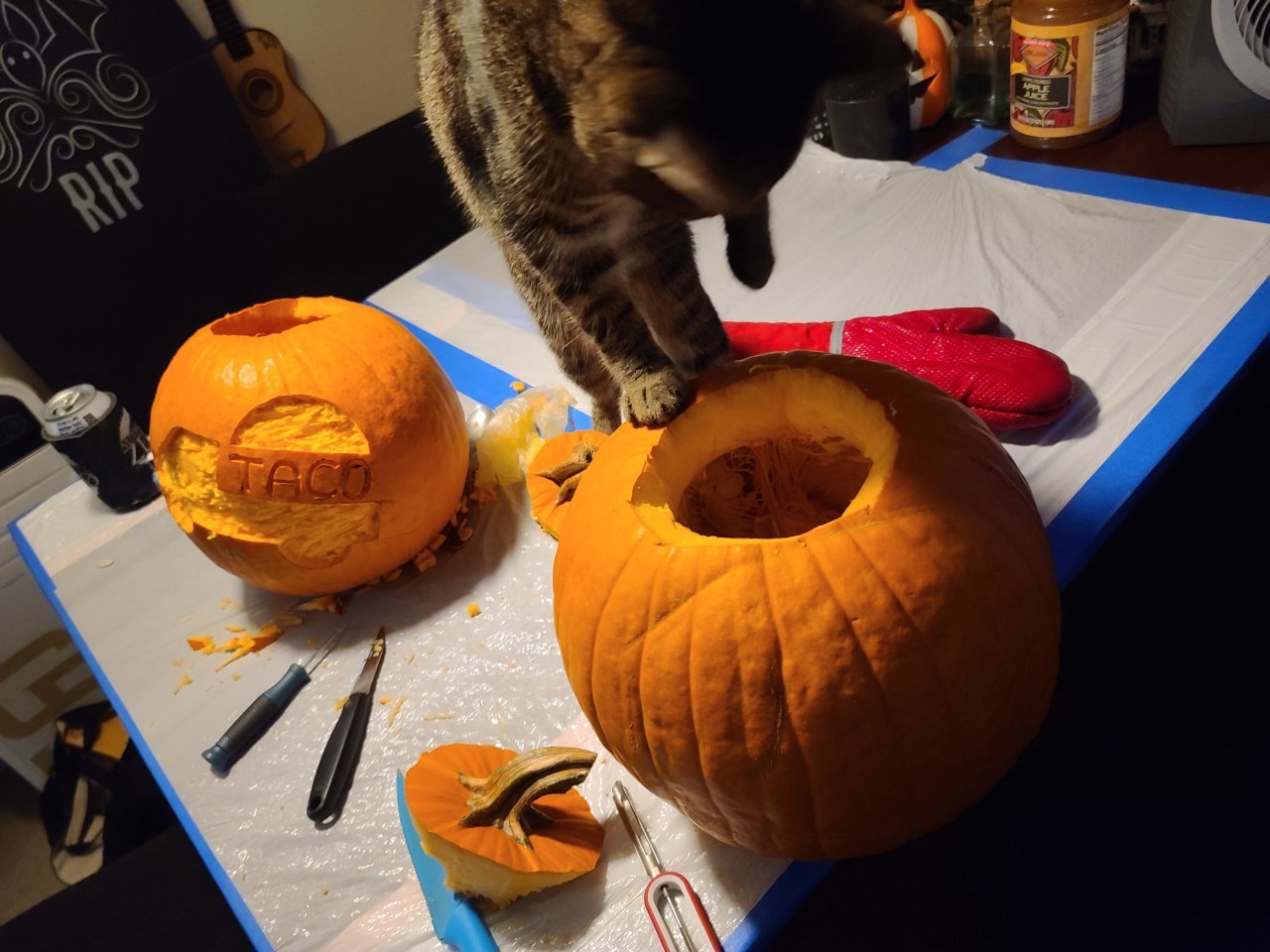 20211030_210921.jpg