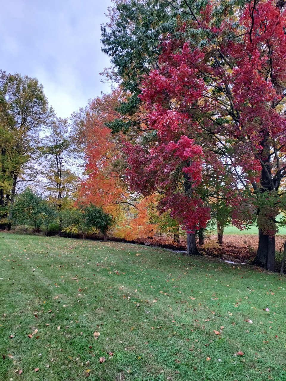 20211031_120846.jpg