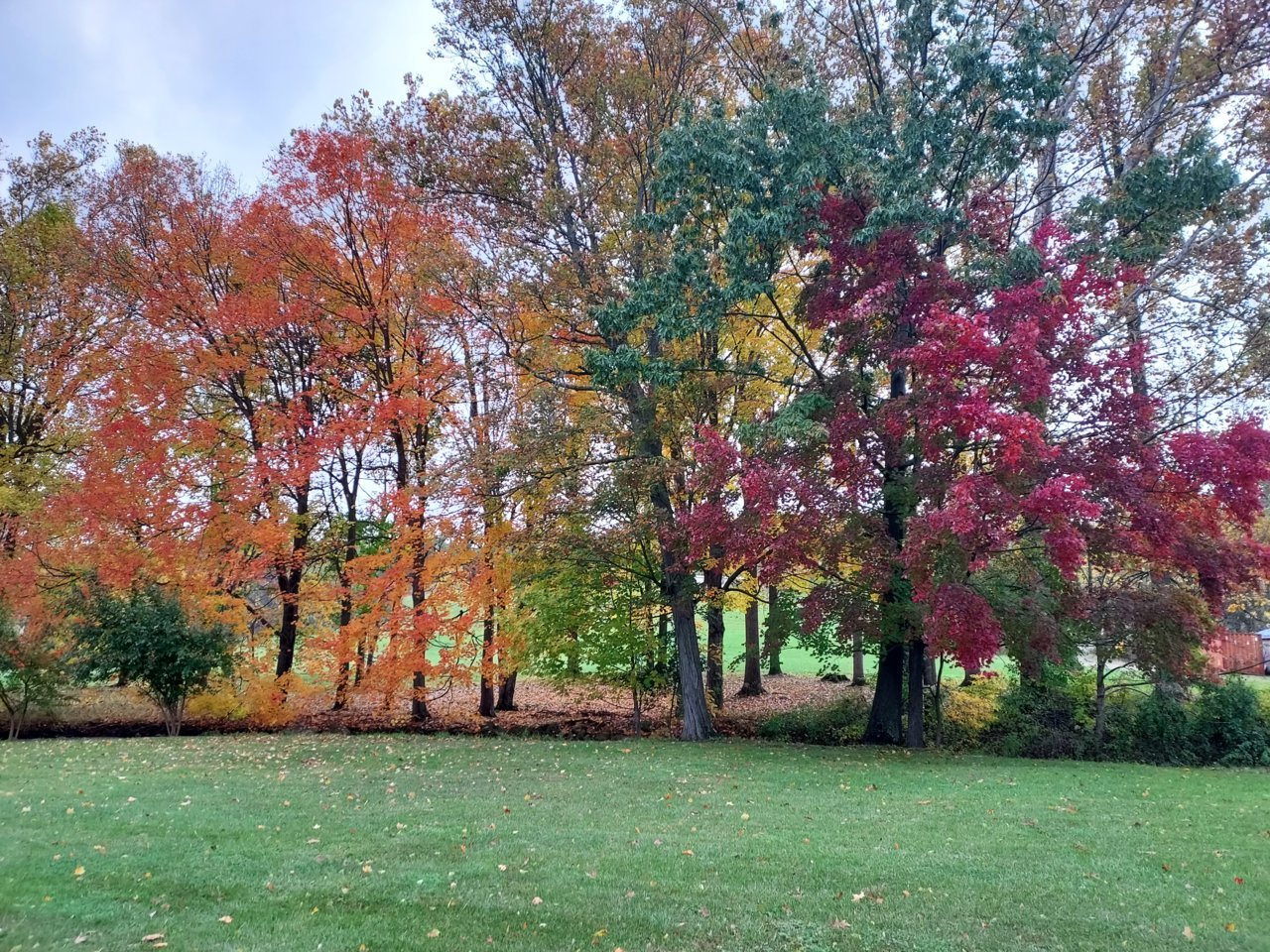 20211031_120922.jpg
