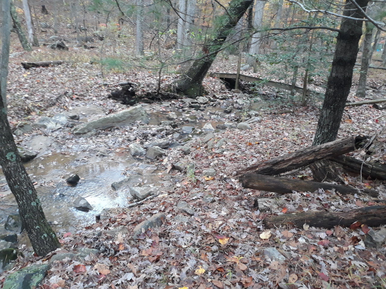 20211031_145747.jpg