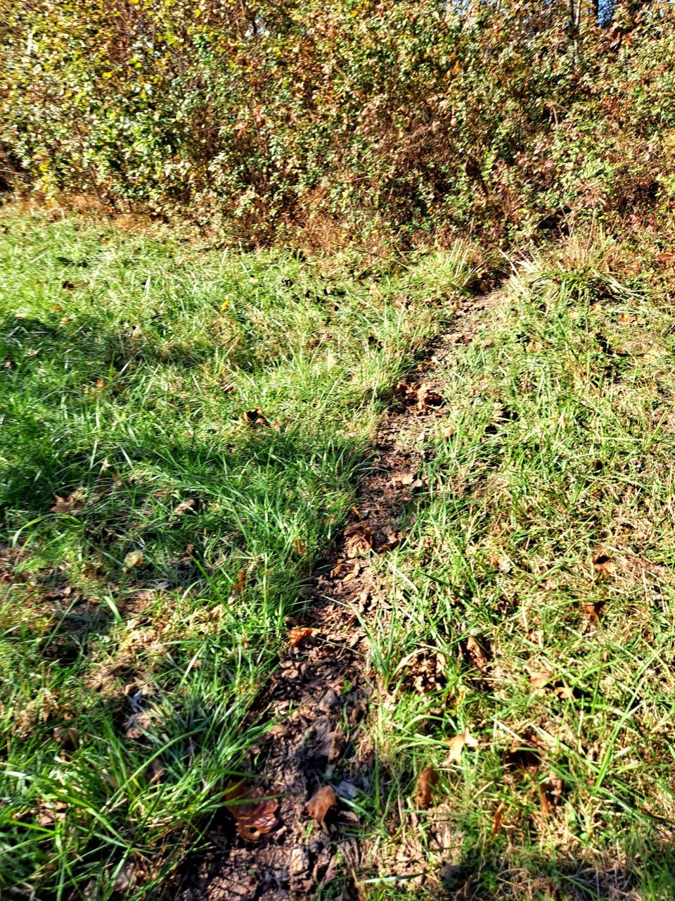20211102_133005.jpg