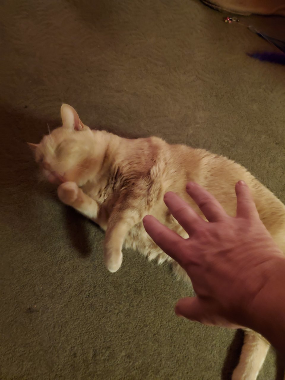 20211104_202155.jpg