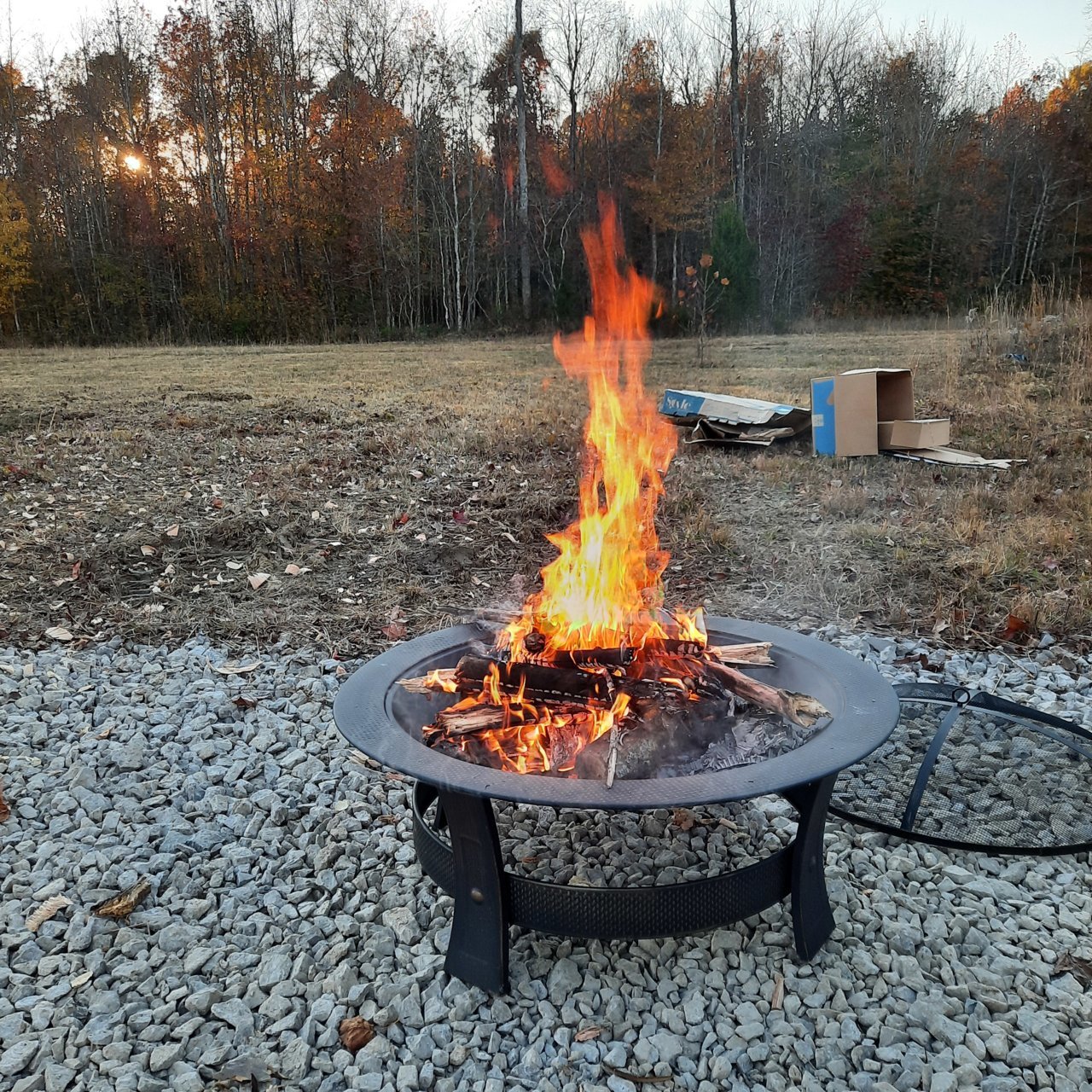 20211105_175627.jpg