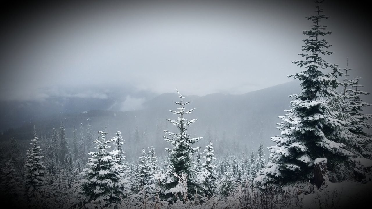 20211105_202230.jpg