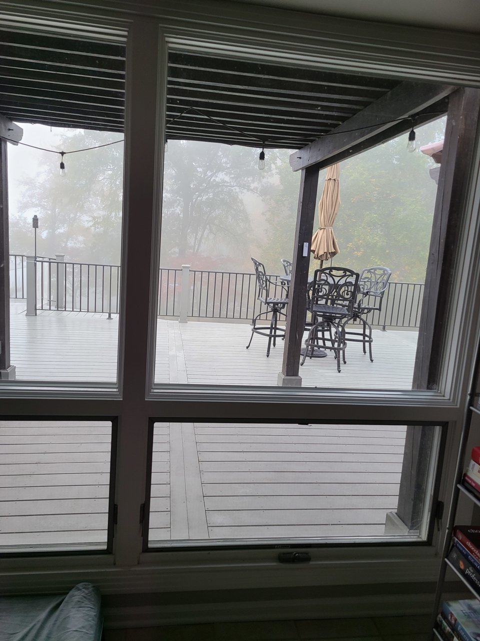 20211106_080545.jpg