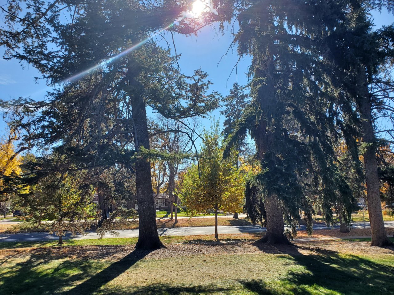 20211106_133013.jpg