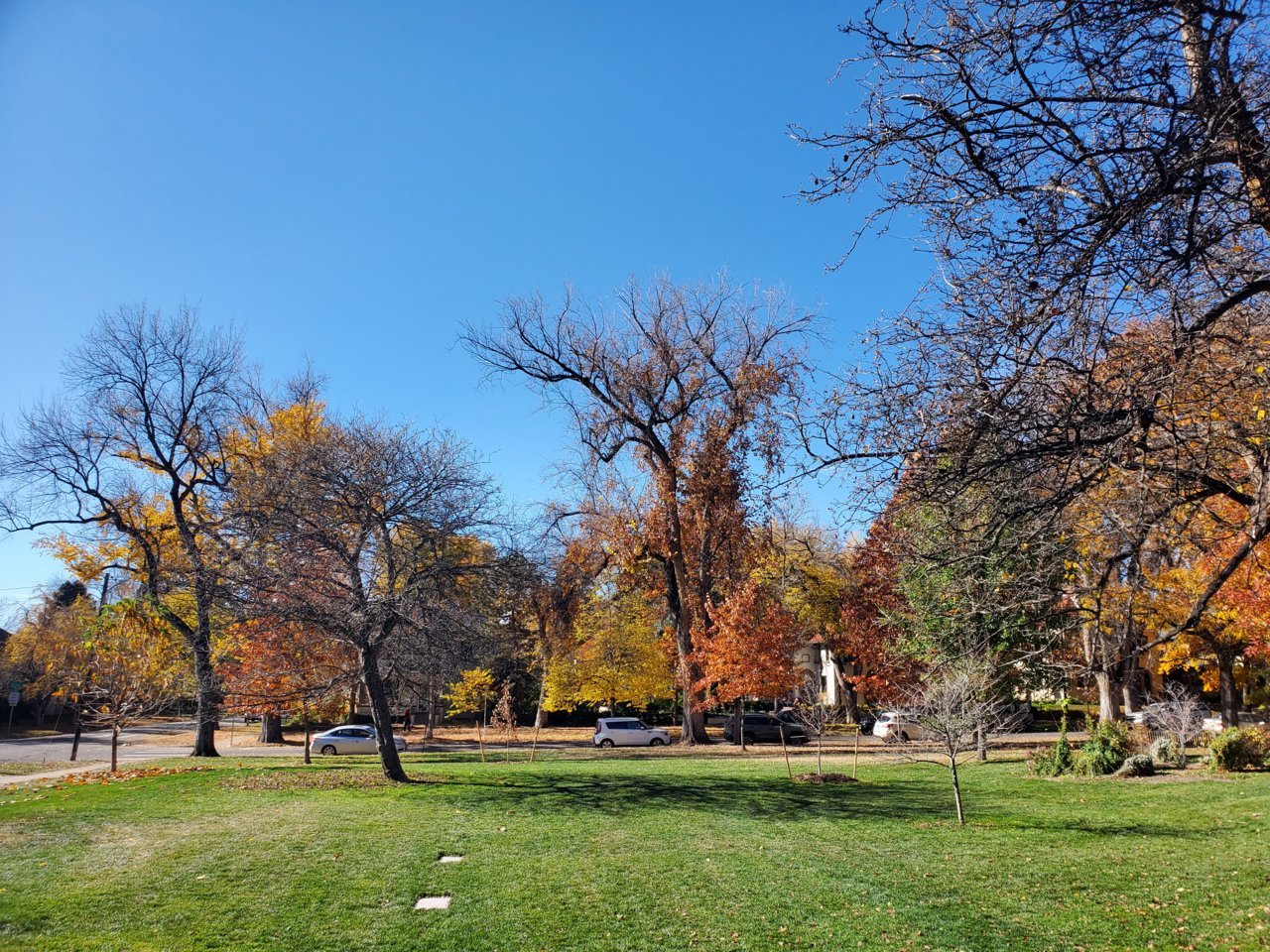 20211106_135047.jpg