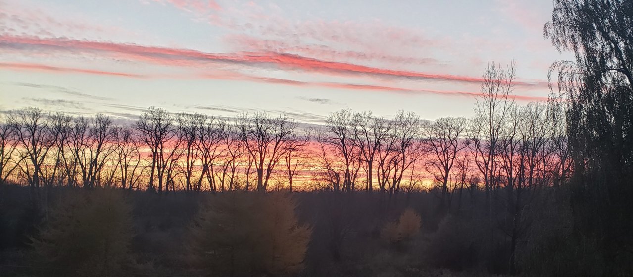 20211106_183827.jpg