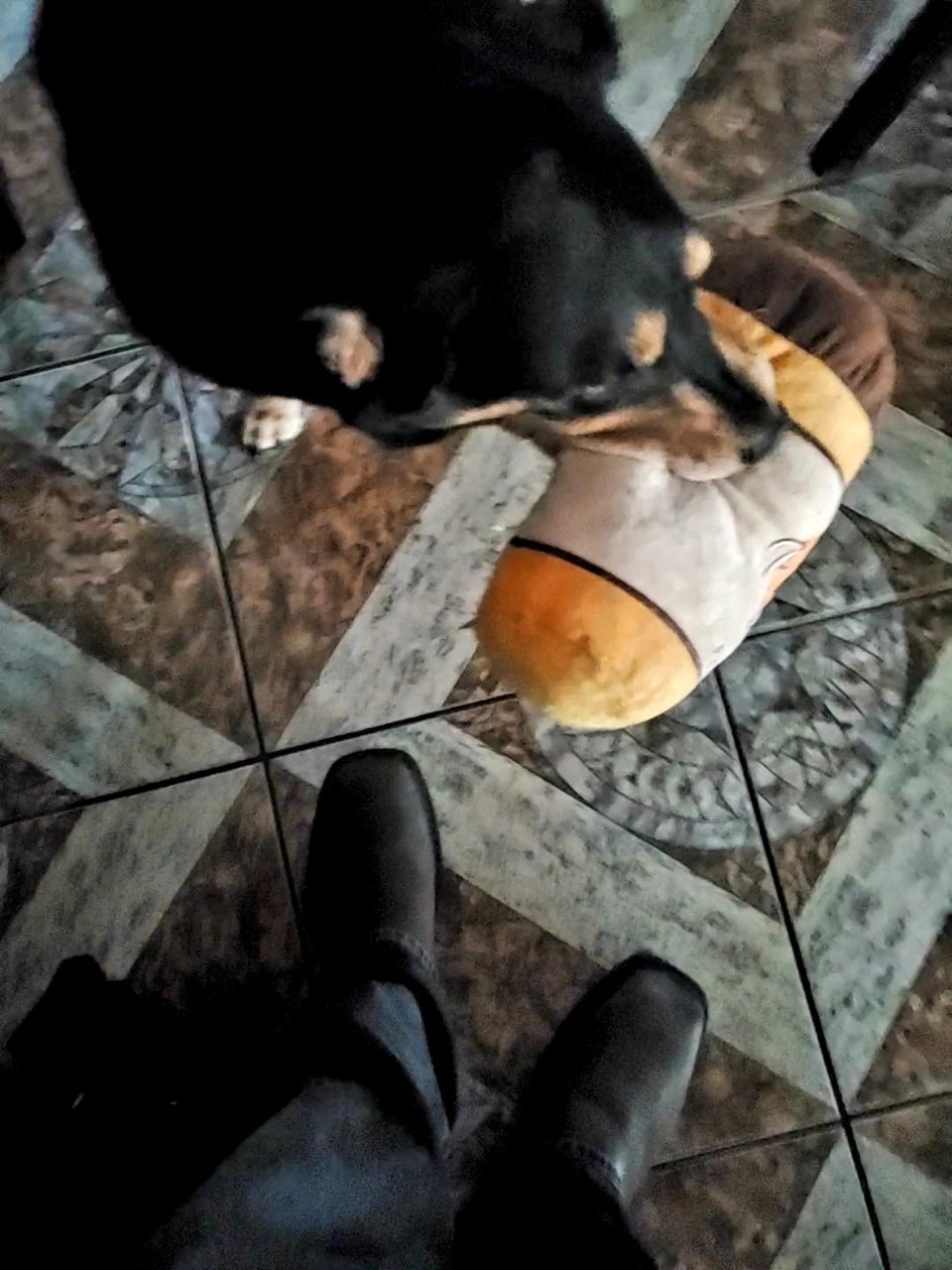 20211110_150707_capture.jpg