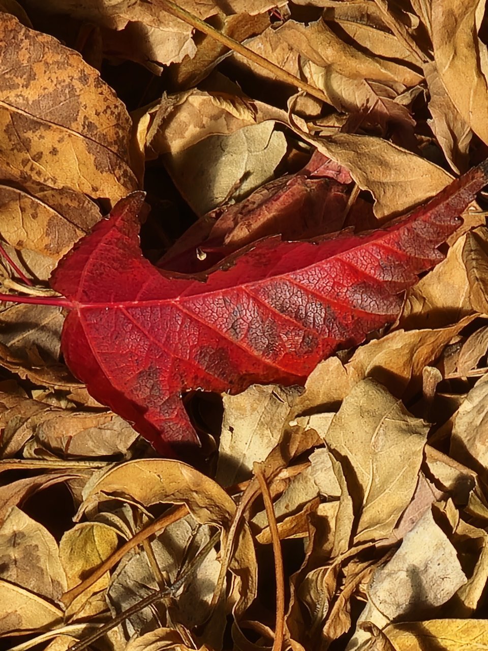 20211111_132930.jpg