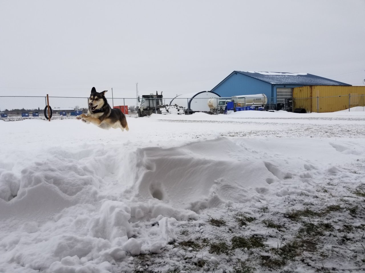 20211113_093825_017.jpg