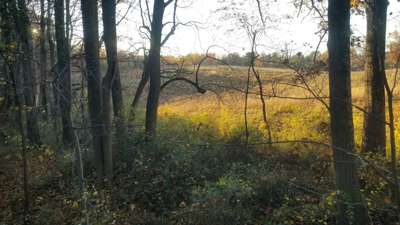 20211113_155306.jpg