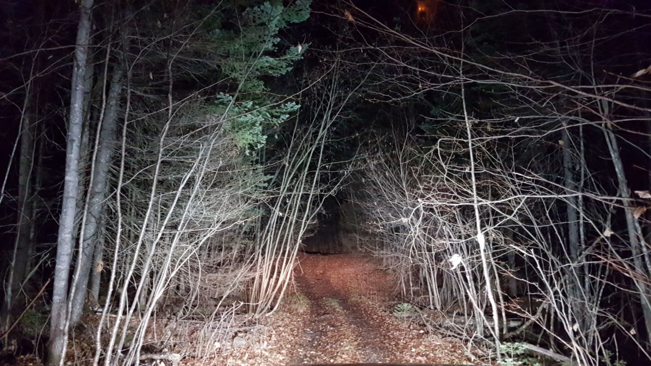 20211113_220537.jpg