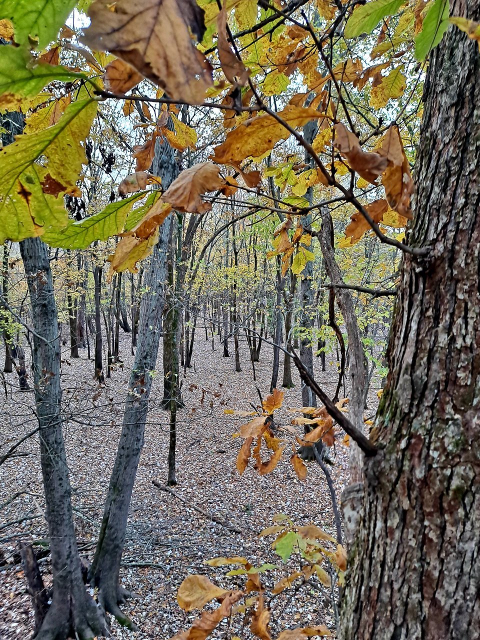 20211115_070056.jpg