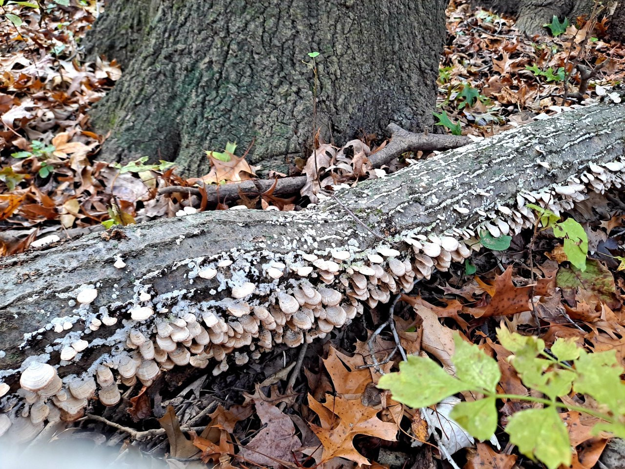 20211115_091103.jpg