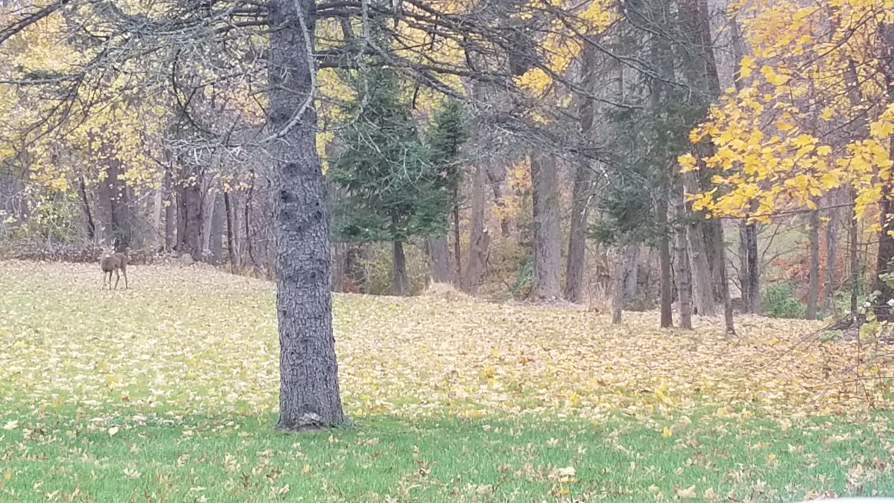 20211115_103424.jpg