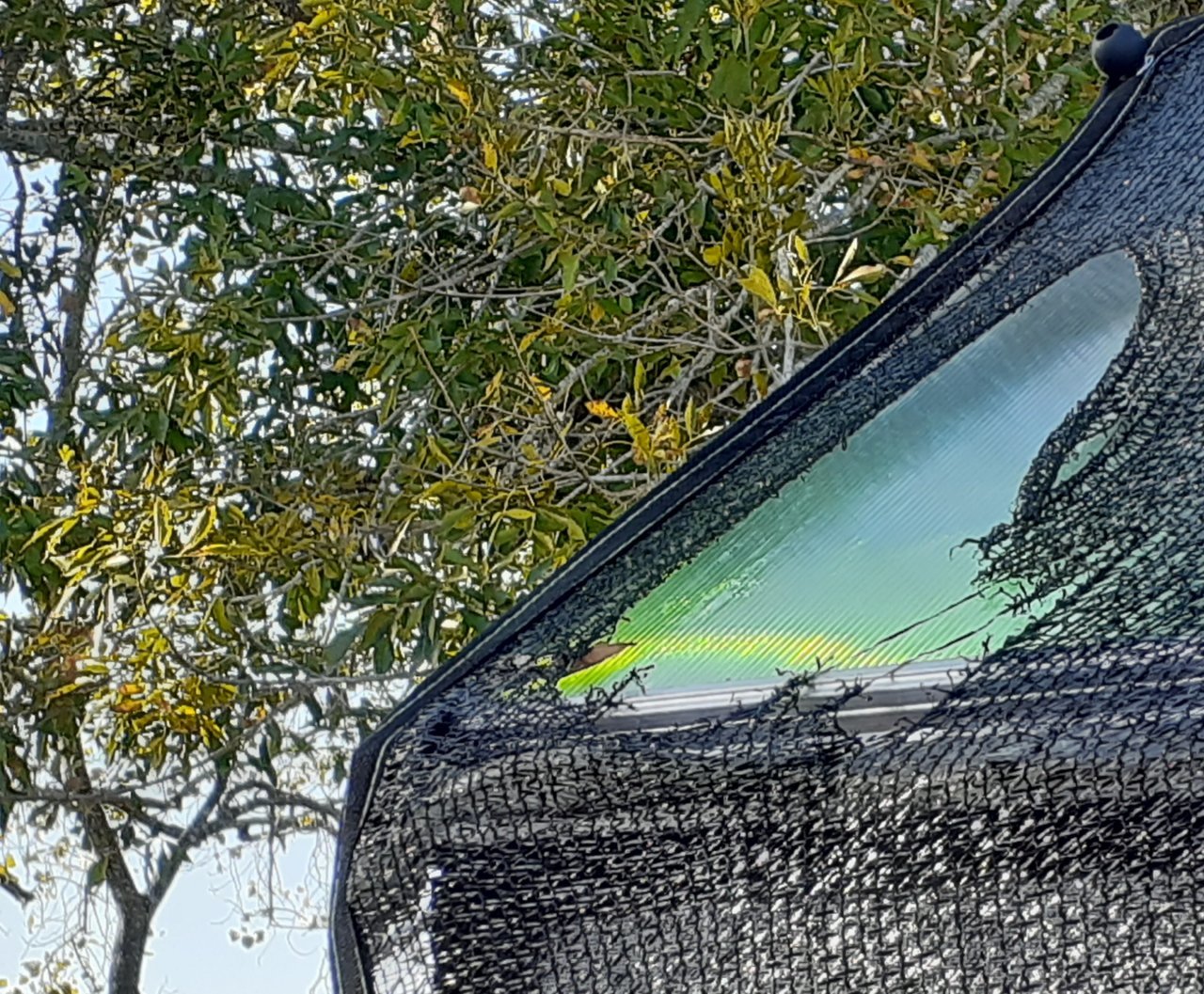 20211115_155210.jpg