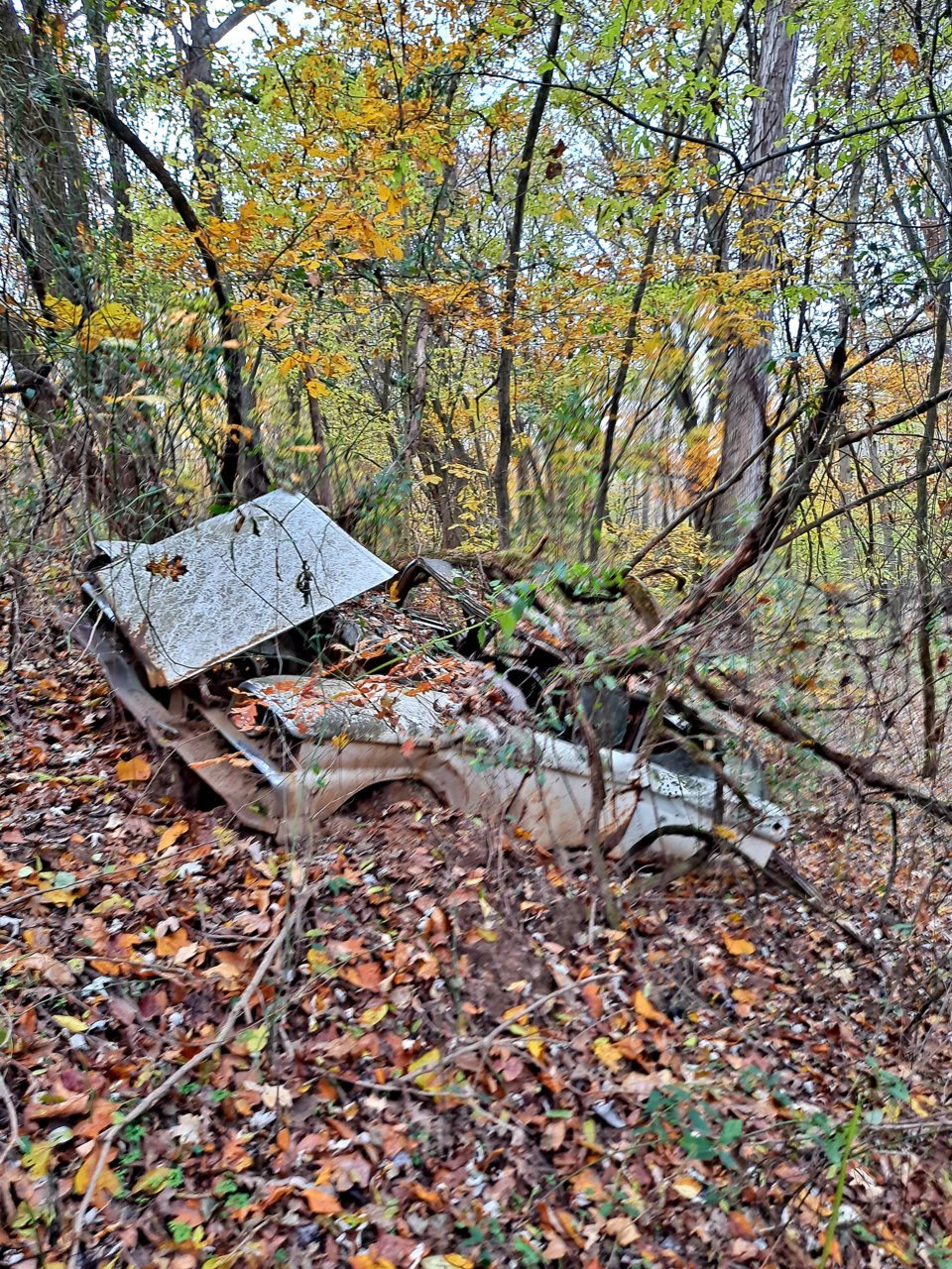 20211117_091648.jpg
