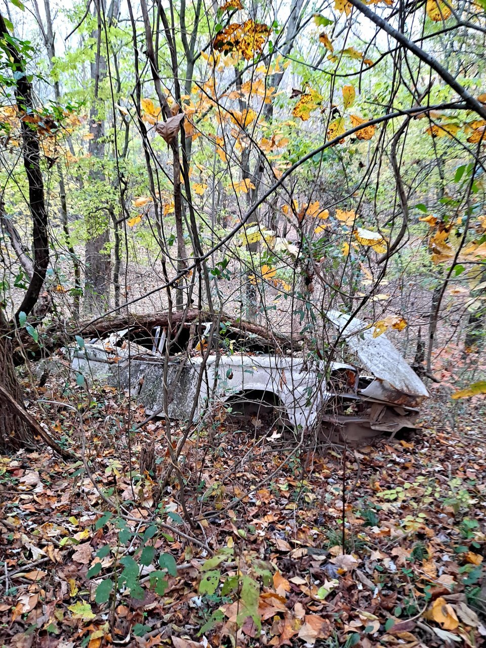 20211117_091734.jpg