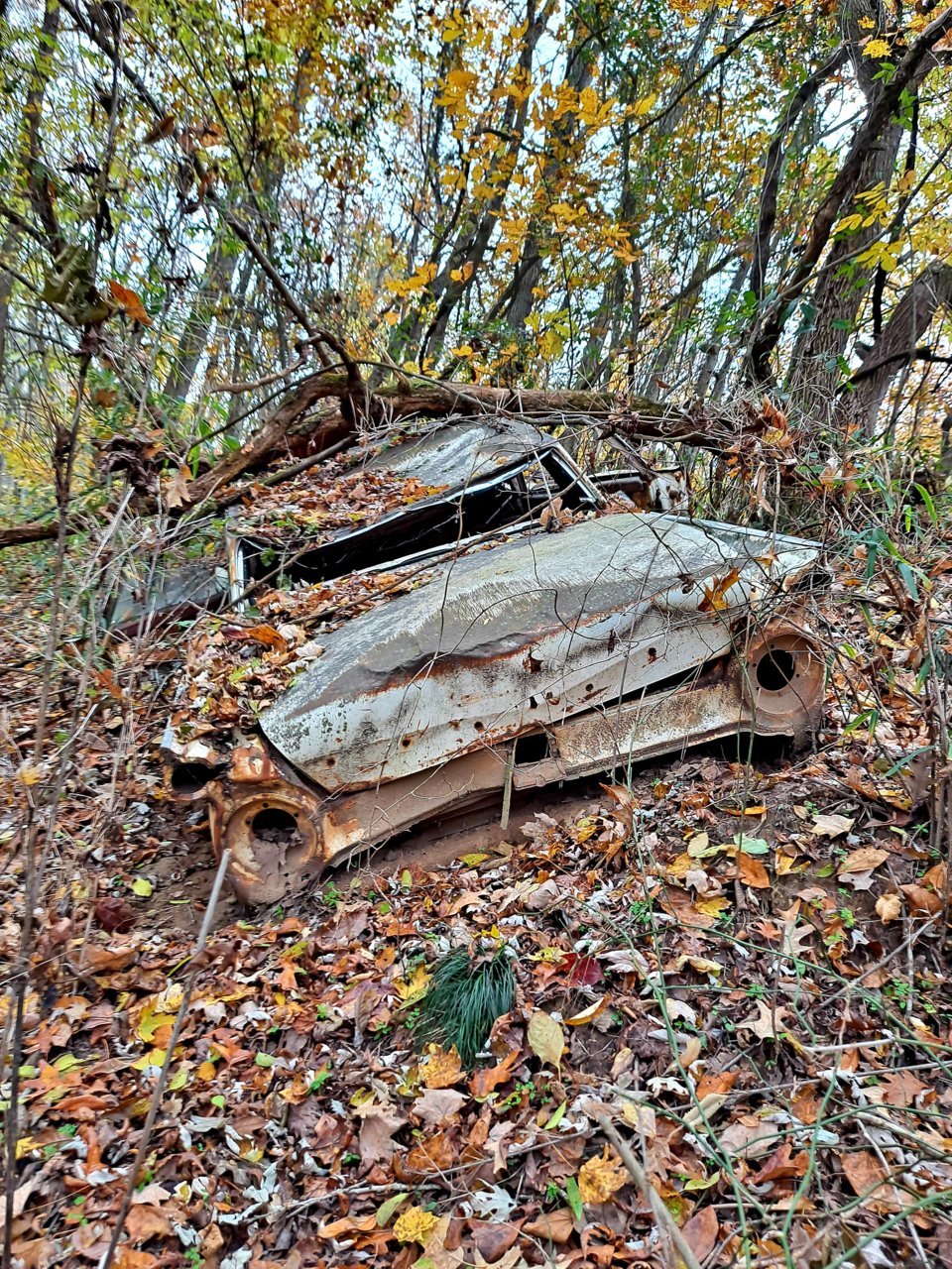 20211117_092038.jpg