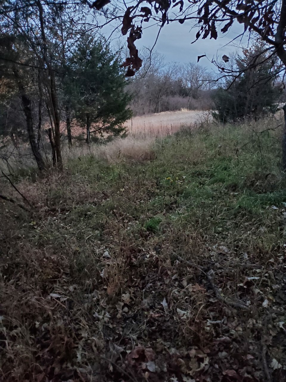 20211120_171836.jpg