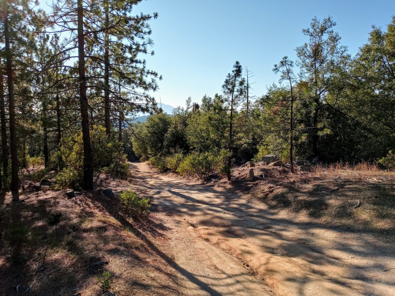 20211121_141534_HDR~2.jpg