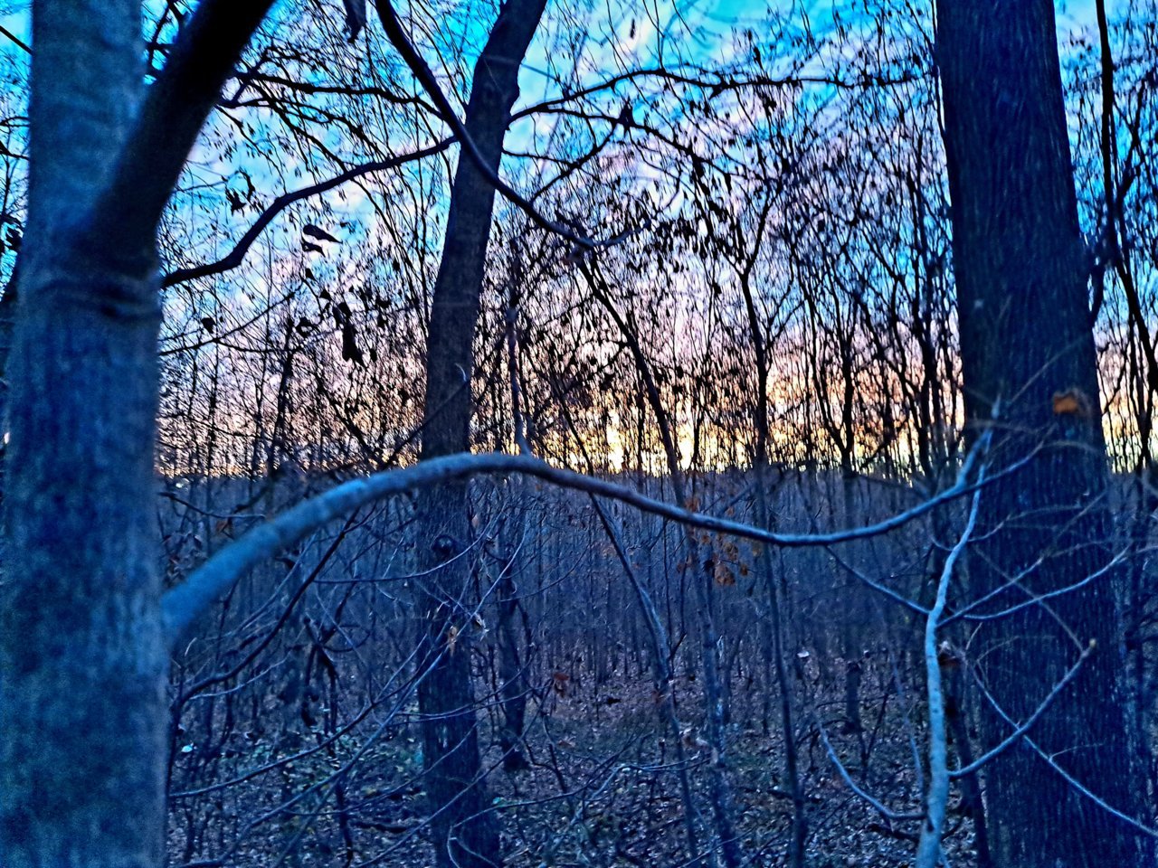 20211122_063733.jpg
