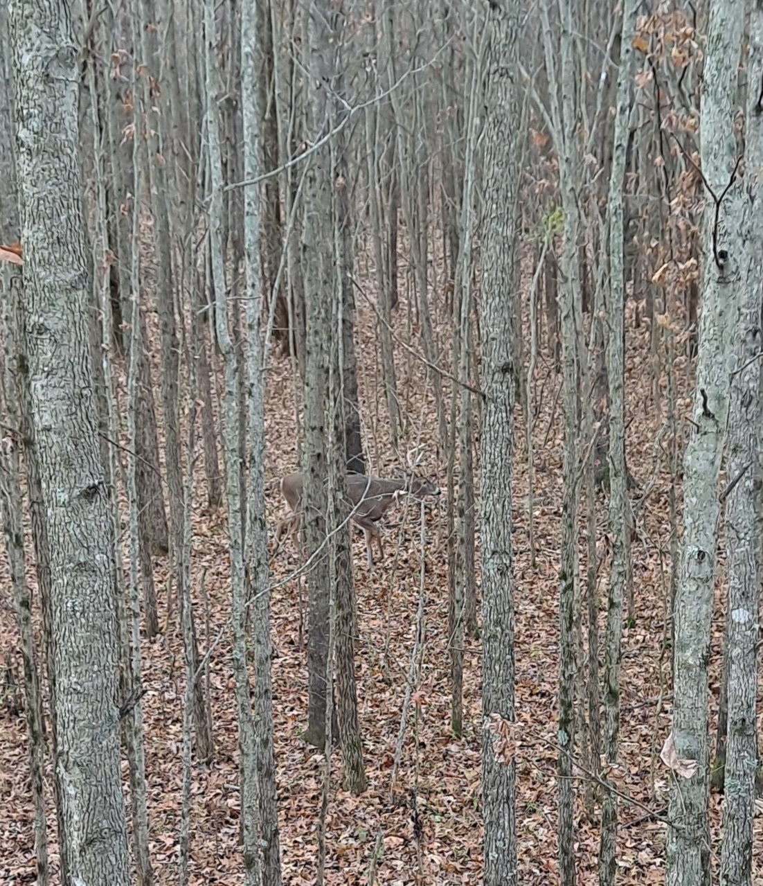 20211124_083317.jpg