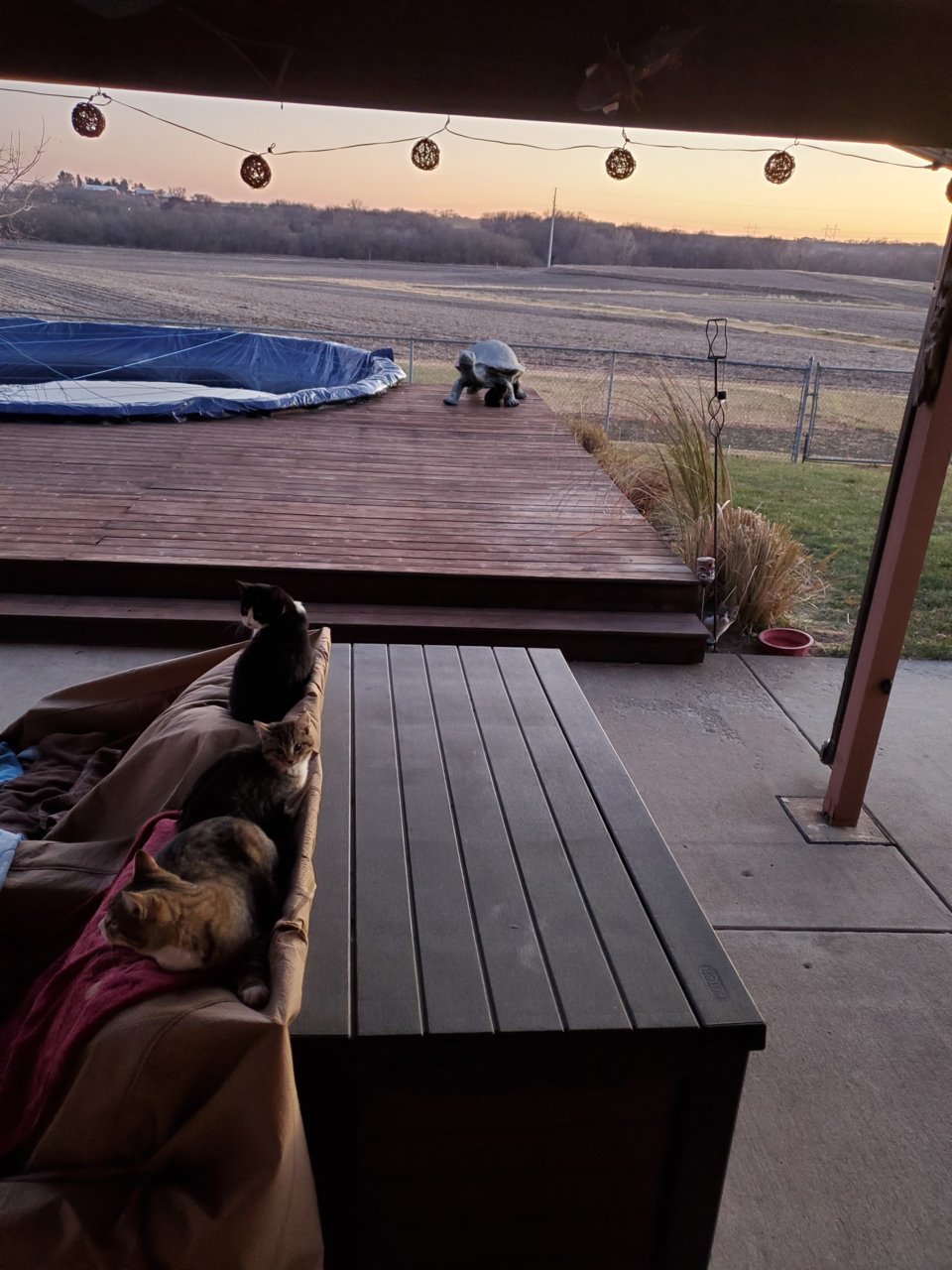 20211125_171121.jpg