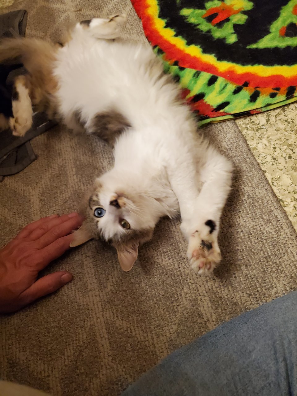 20211125_201845.jpg