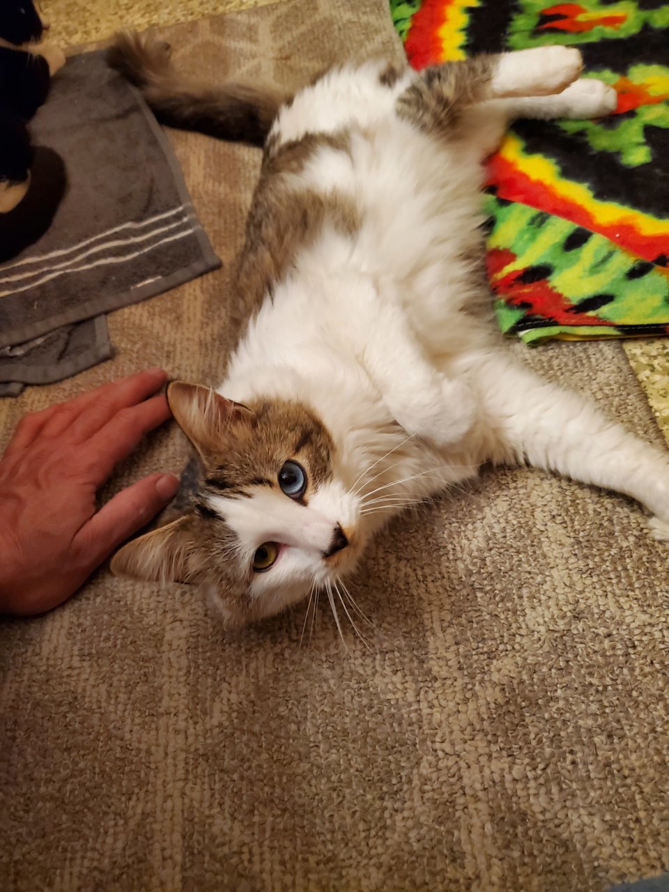 20211125_201922.jpg